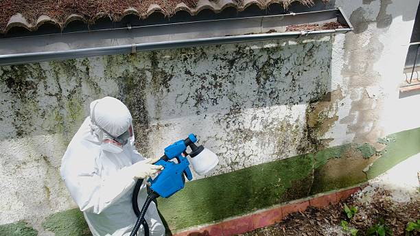 Trusted Crawl Space Mold Removal service in Entriken, PA - Cheap Mold Removal
